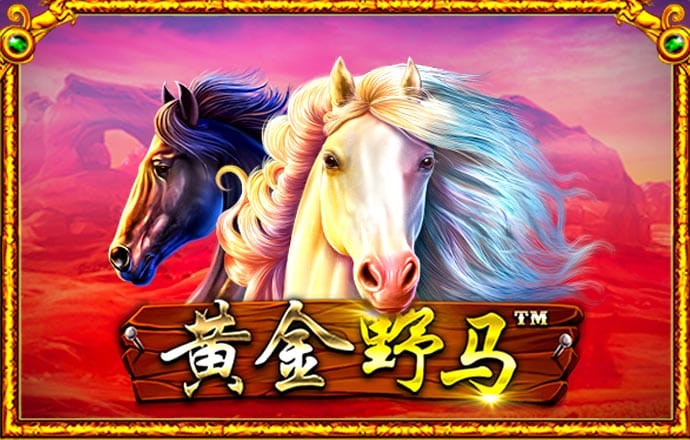 pg棋牌软件平台官网